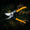 Alpen Pruning Shears Professional Grade, Gelbhorn 150, Gardening Supplies Scissors