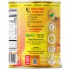 Rani Mango Pulp Puree (Makes Mango Lassi Shakes) Kesar Sweetened