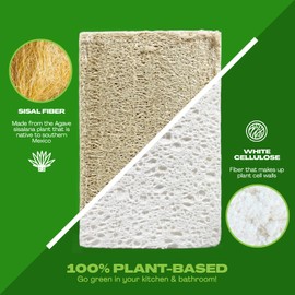 June Lily Natural Kitchen Dish Sponge Vegan Plant-Based for Dish Washing Home Cleaning - Each Pack Contains 2 Sponges (6 Pack)