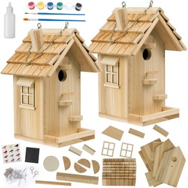 2 Pack DIY Birdhouse Kit, Wooden Bird House for Adults to Build, DIY Bird House for Outside, Outdoor Woodworking Adult Crafts, Hanging Birdhouse for Garden, Yard