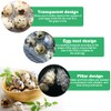 FIGFYOU Pack of 50 Quail Egg Boxes, Egg Boxes, Quail,