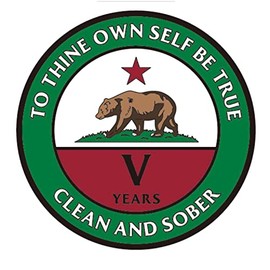 5 Year AA, Alcoholics Anonymous California Bear Clean and Sober Chip, Medallion, Token, Coin