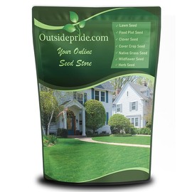 Outsidepride Fireball & Hattrick Rye Grass Seed Blend - 5 Lbs. Wear Tolerant, Fine Leaf Texture Perennial Rye Grass Seeds for Lawn, Sports Turf & More, OptiGrowth Coated for Better Establishment