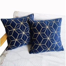 Pack of 2 Embroidered Square Navy Velvet Cushion Covers Decorative Throw Pillow Cover Cushion Case Pillow Case 45 X 45 CM