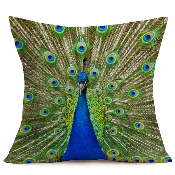 Qinqingo Colorful Peacock Feather Throw Pillow Case Cushion Cover Home