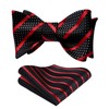 HISDERN Bow Ties for Men Red Bow Tie Self Tie