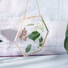 C&Z Hanging Wall Glass Frame for Pressed Flowers Dried Leaf