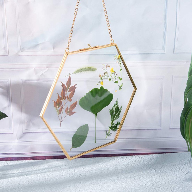 C&Z Hanging Wall Glass Frame for Pressed Flowers Dried Leaf