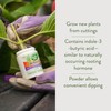 Garden Safe Brand TakeRoot Rooting Hormone, 2 Count, Powder Helps