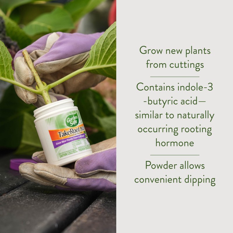 Garden Safe Brand TakeRoot Rooting Hormone, 2 Count, Powder Helps