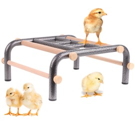 Metal Ladder Chicken Roosting Perch for Coop and Brooder, No Tool Install Heavy-Duty Rustproof Mini Baby Chick Perches for Exercise and Play Climb for Fun