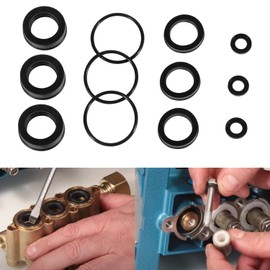 12 PCS Replacement 76975 Seal Kit for 4DNX Pumps Fits for CAT 4DNX25GSI & 4DNX27GSI Pump