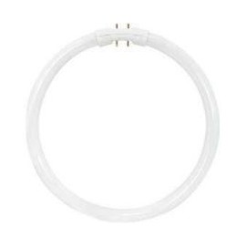 Satco S8162 3500k 55-Watt 2gx13 T5 Circline High Performance Lamp, Neutral White