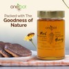 OneRoot Natural Wildflower Honey - 1.1 lbs / 500g, Pure