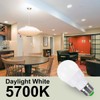 ILC RGB LED Light Bulb, Color Changing 40W Equivalent, Daylight