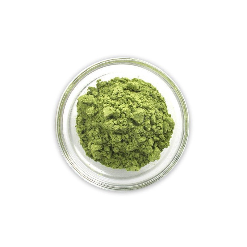 유기농 컬리케일 분말 가루 동결건조 곱슬케일 100% 스틱 14포/1박스 Organic
