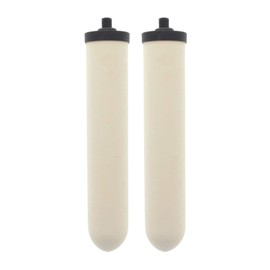 Doulton W9123053 UltraCarb 10 Inch Ceramic Candle Filter Cartridge (2 PACK)