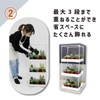 daim Succulent Mansion Black Kamen-kun Succulent Plants