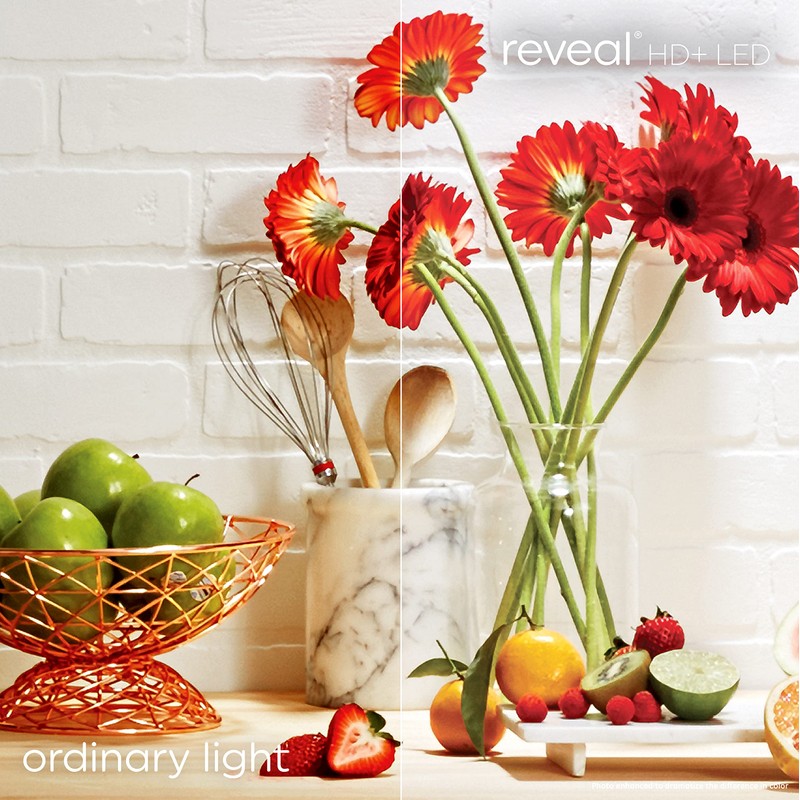 GE Reveal LED Light Bulbs, 60 Watt, A15 Ceiling Fan