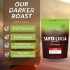 Specialty Volcanic Nicaraguan - Artisan Select Vienna Medium/Dark Roast Coffee