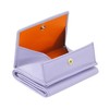 Colorful - Honduras, Provence Lilac