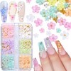 Dijes de uñas 3D (mariposa flor oso)