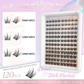 Lash Clusters Manga Eyelash Clusters 10/12/14MM Short Spiky Cluster Eyelash Extensions YASNAI 120Pcs C Curl Individual Volume Anime Lash Clusters with Thin Band Cosplay Natural Fairy Lashes Cluster