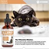 Allergy Relief for Cats | Helps to Naturally Support Allergy