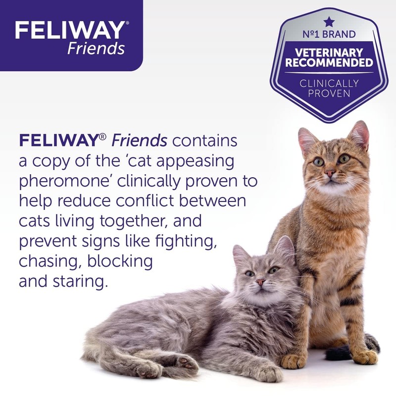 FELIWAY Friends 30 Day Refill, helps to reduce conflict in