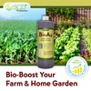SCD BioAg – Organic Farm and Garden Soil Microbes, Compost