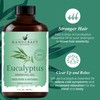 Handcraft Blends Eucalyptus Essential Oil - Huge 4 Fl Oz
