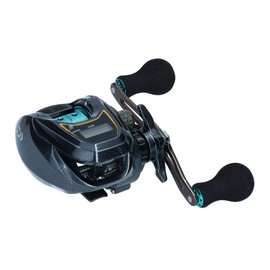Daiwa (ダイワ) Light SW X IC SS L Bait Reel with Counter Black Blue