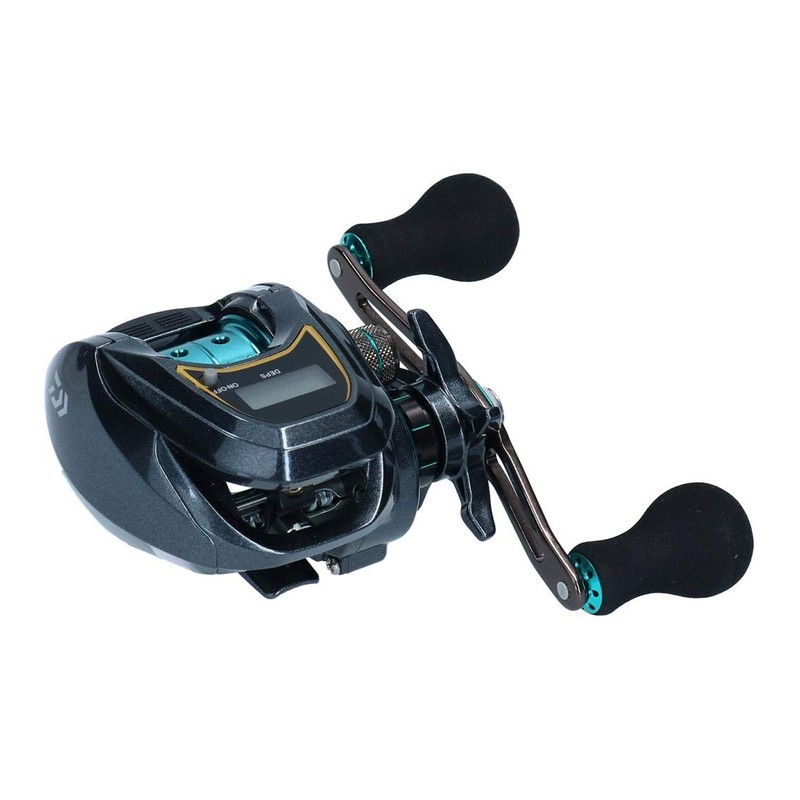 Daiwa (ダイワ) Light SW X IC SS L Bait Reel