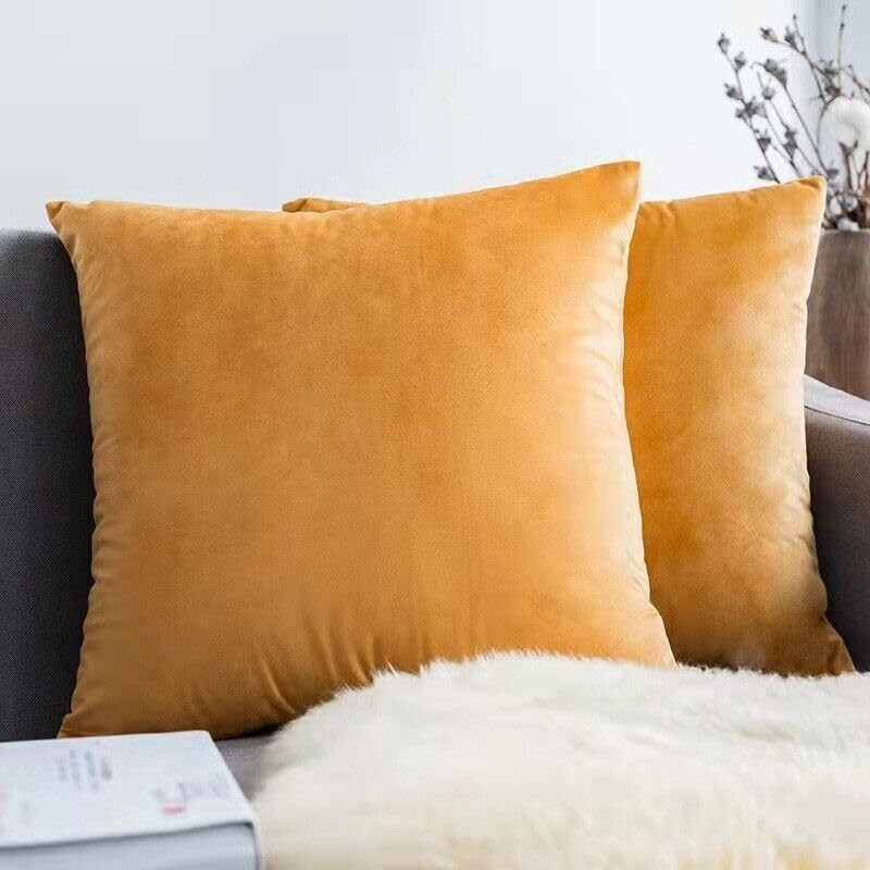 Seechoo Velvet Cushion Covers, Set of 2, 45cm x 45cm,