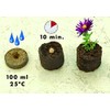 Floraworld 010842 Classic Peat Swelling Pots Set of 20 Natural