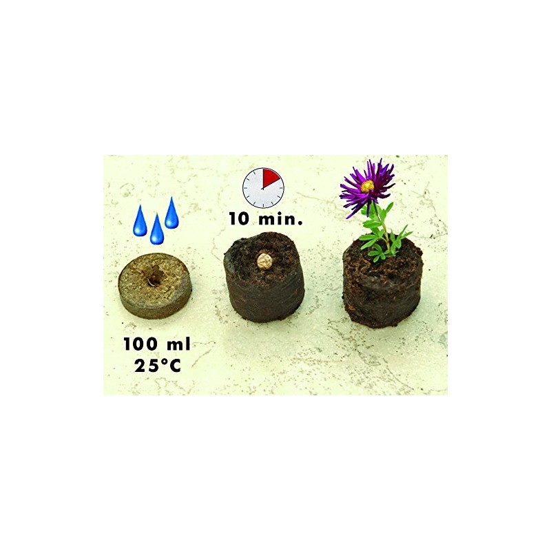 Floraworld 010842 Classic Peat Swelling Pots Set of 20 Natural