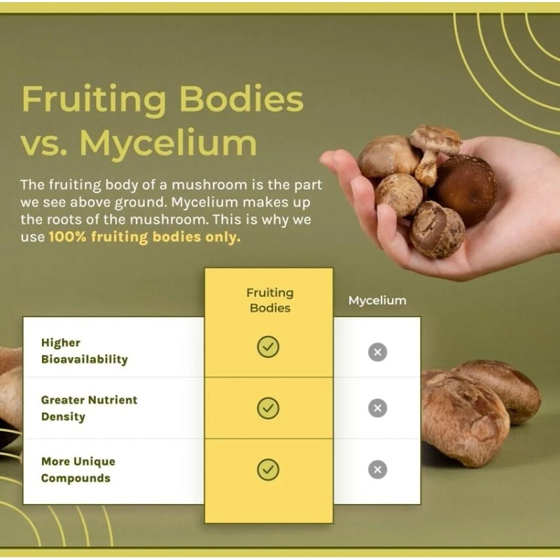 Naturealm Sacred 7 Mushroom Extract Powder: Boost Immunity & Vitality