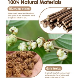 JIUDONE Silvervine Sticks Cat Toys,6 Pack Natural Cat Chew Stick Toy for Cat Dental Care Teeth Cleaning,Matatabi Cat Nip Treat Toys for Indoor Cat Kitten,Catnip Toys,Suitable for All Cat - Yellow