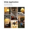 G45 LED Light Bulbs with E26 Base | 2700K Warm