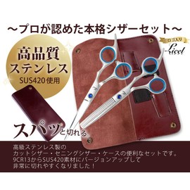 LICEL, Pro Specs for Home Use, Don't Need Professional Help, For Beginners and Hairdressers, SUS 420 High Quality Stainless Steel Cutting Scissors & Thinning Scissors, Blue, Comes with Storage Bag, Comes with Easy to Understand Instruction Manual with Pi