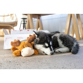 Kong Cozie Marvin The Moose Plush Toy - for Medium Sized Breed Dogs