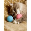 CattyMan Cat Cat Ball Play Karafuru