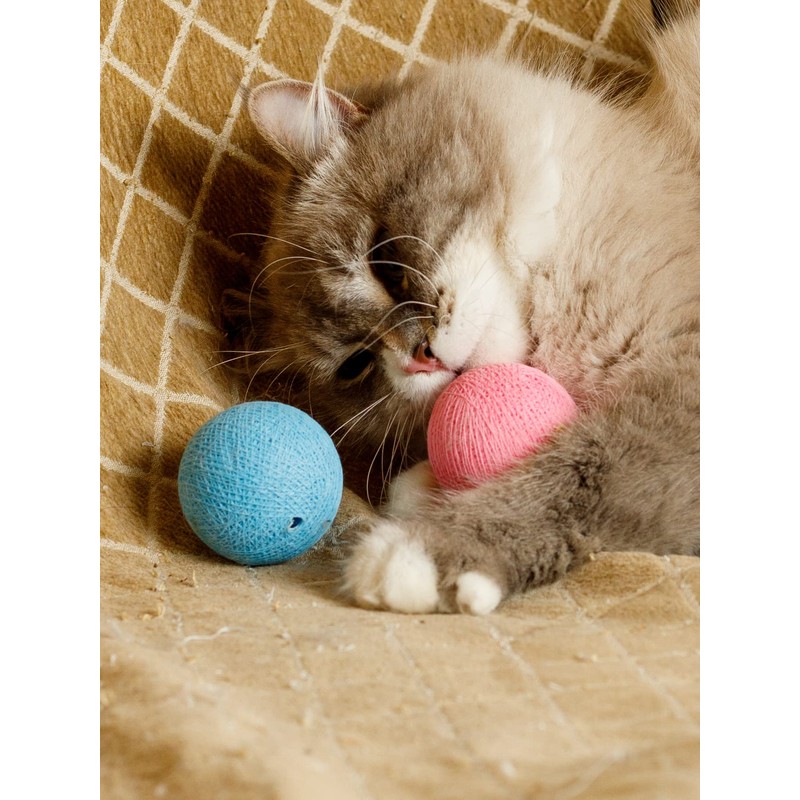 CattyMan Cat Cat Ball Play Karafuru