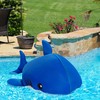 Posh Creations Whale Shark Pool Noodle and Float with EPS