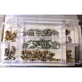 APSS 112 Pcs The Most Popular AC Assortment  Schrader Valve  Cores For R134A R12 R22