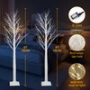 Smart Birch Tree with LED Lights 2 Pack 6 FT