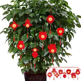 Molyorch 24 Pieces Chinese New Year Decorations, Chinese New Year Decorations, Mini Red Chinese Knot Pendants for New Year, Home, Office, Car, Tree, Spring, Decorations