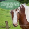 Feed Charcoal for Horses (500 g) - No Additives |