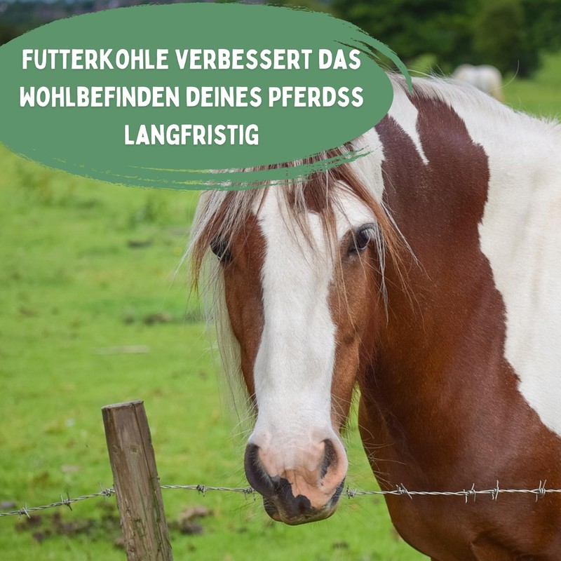 Feed Charcoal for Horses (500 g) - No Additives |