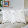 WACOMECO Silver Throw Pillow Covers, Pack of 2 Soft Velvet